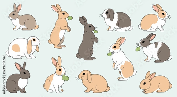 Fototapeta A charming collection of various bunny rabbits enjoying fresh green leaves as a delightful snack.