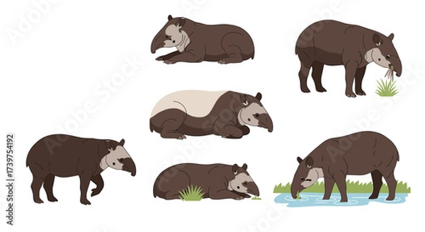 Fototapeta Illustrations of tapirs in different poses and environments showcasing their unique features.