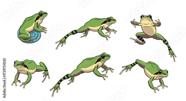 Fototapeta A collection of leaping and sitting green frogs in various dynamic poses.
