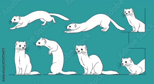 Fototapeta A collection of animated white stoats depicted in various playful poses and movements.