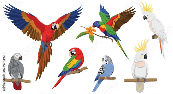 Fototapeta A colorful collection of various parrots perched on branches.