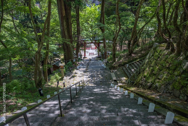 Fototapeta 奈良 談山神社 木陰の中の参道の石段