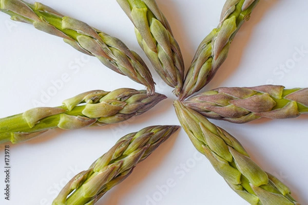 Obraz asparagus