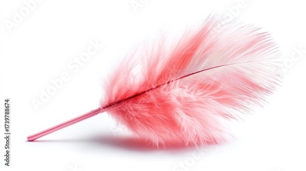Fototapeta A vibrant pink feather with delicate, soft fibers, resting on a plain background, showcasing its unique texture and color.