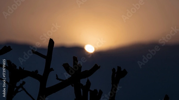 Fototapeta sunset in a spring aternoon near the mountians and a dry brunch in the foreground