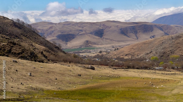 Fototapeta landscape view of Tafi del valle, Tucuman in a warm spring morning
