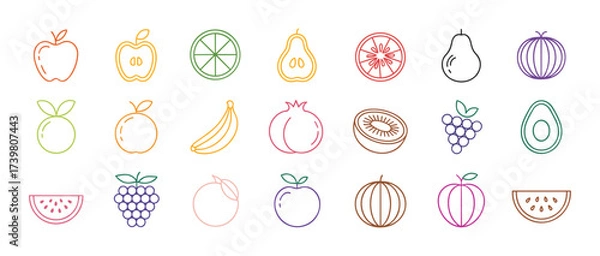 Fototapeta A diverse collection of colorful dashed line style fruit icons for healthy eating concepts.