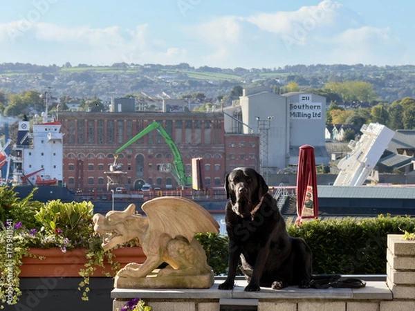 Fototapeta Cork City Centre - views along the Wild Atlantic Way in Ireland