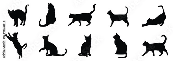 Obraz Cat silhouettes collection