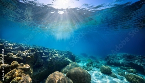 Fototapeta sunlight streams through clear blue water illuminating a rocky ocean floor creating a serene underwater landscape