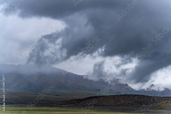Fototapeta Green desert vegetation against a backdrop of high mountains shrouded in low white rain clouds in Utah