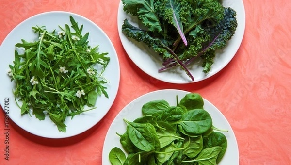 Fototapeta Three plates of fresh leafy greens including arugula, kale, and spinach on a vibrant coral background, ideal for healthy meal preparation.