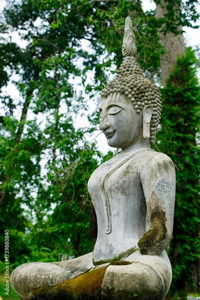 Fototapeta Serene Buddha Statue Surrounded by Lush Greenery in Nature