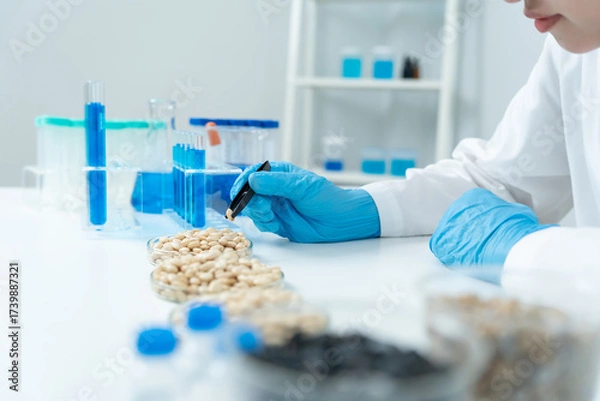 Fototapeta Scientist check chemical whole grains residues in laboratory. Control experts inspect the concentration of chemical residues. hazards, standard, prohibited substances, contaminate, Microbiologist