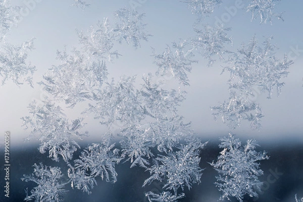 Obraz Beautiful snowflakes sparkle on a cold winter day, creating a stunning nature scene