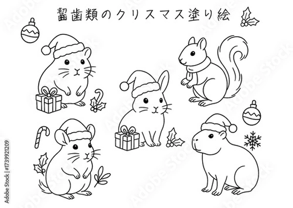 Fototapeta 齧歯類のクリスマス塗り絵