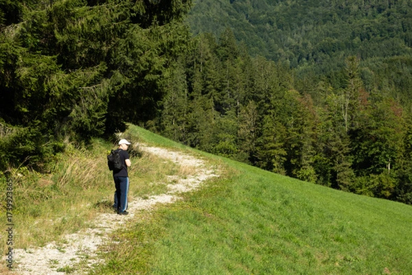 Fototapeta Man Walking on Forest Path in Harmony with Nature