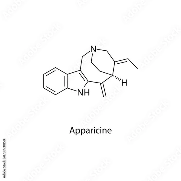 Fototapeta Apparicine molecular structure, natural indole alkaloid plant-derived compound with pharmacological interest, clean scientific vector diagram, flat skeletal chemical formula isolated 