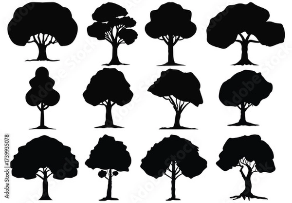 Obraz Set tree silhouettes vector illustrations