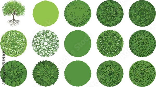 Fototapeta Top view tree canopy illustration set, diverse foliage textures, landscape greenery clipart, natural plant design, eco nature vegetation, outdoor environment vector