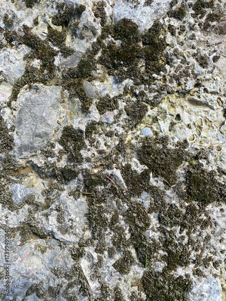 Fototapeta Weathered Stone Wall Texture Showing Cracks and Natural Vertical Patterns