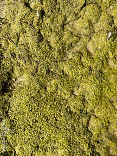 Fototapeta Natural Stone Background, Abstract Texture Pattern