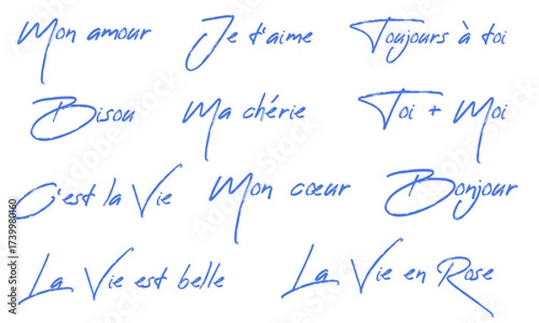 Fototapeta Romantic french words of affection and greetings in elegant calligraphy. Mon amour, Ma cherie, Je t'aime and other popular phrases. Hand drawn lettering set isolated on white background. 