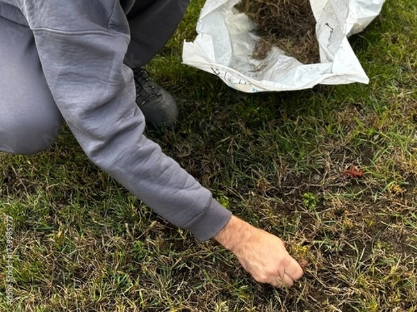 Fototapeta man collects weeded grass in a bag