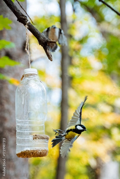 Fototapeta Experience the enchanting beauty of a charming woodland scene where delightful birds gather at a feeder, showcasing natures brilliant delights and the intricate balance of life in the great outdoors