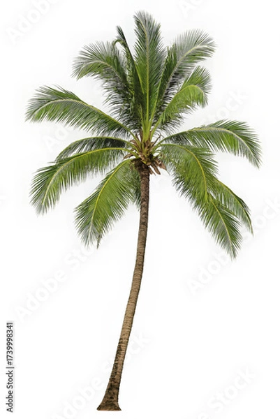 Obraz The tropical tree has vibrant green fronds and a textured brown trunk. This image is perfect for designs related to summer beaches and vacation.