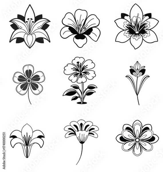 Fototapeta A premium of black and white flowers set and vector design