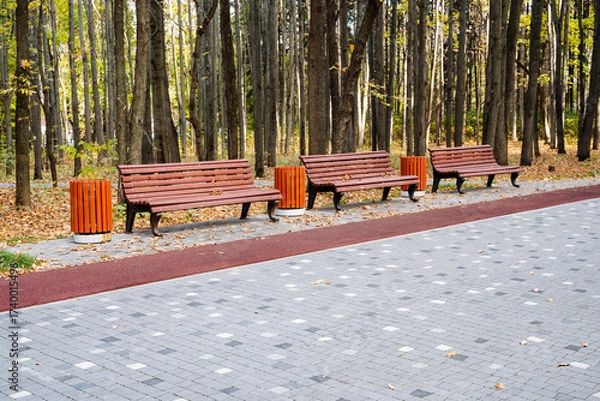 Fototapeta A tranquil park pathway with comfy benches and lush greenery highlights autumns beauty, providing a perfect escape for the community to relax and appreciate the colorful landscape