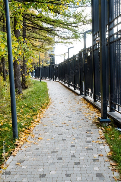 Fototapeta A serene pathway with vibrant autumn leaves and a black fence invites visitors to explore natures beauty. This tranquil landscape is ideal for leisurely walks, reconnecting with the outdoors