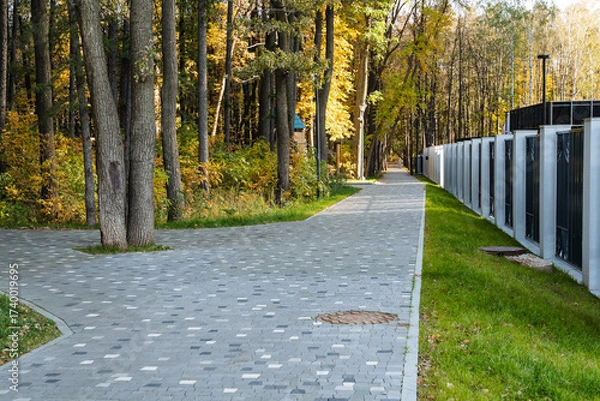 Fototapeta A beautiful scenic pathway winds its way through a lush forest filled with vibrant greenery and features modern pavement that invites exploration, making it perfect for hiking and outdoor recreation