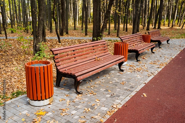 Fototapeta This enchanting park pathway boasts rustic benches and convenient bins, set against vibrant autumn foliage, making it a perfect spot for relaxation and leisure activities yearround