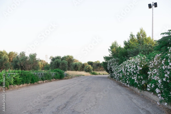 Fototapeta paesaggio