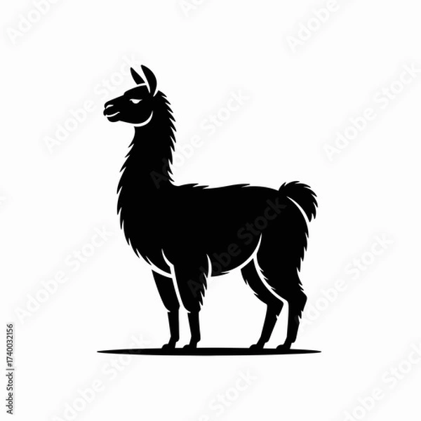 Fototapeta llama, silhouette, vector, animal, graphic, design, illustration, icon, profile, alpaca, black, minimal, shadow, wool, wildlife, simple, standing, outline, nature, mammal, creature, farm, pet, cute, m