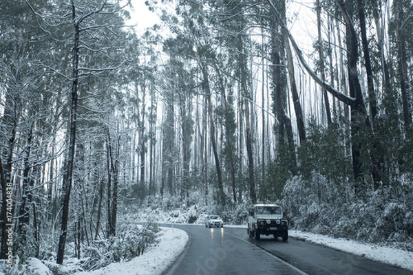 Fototapeta Snow on Trees and Roads in Mountain