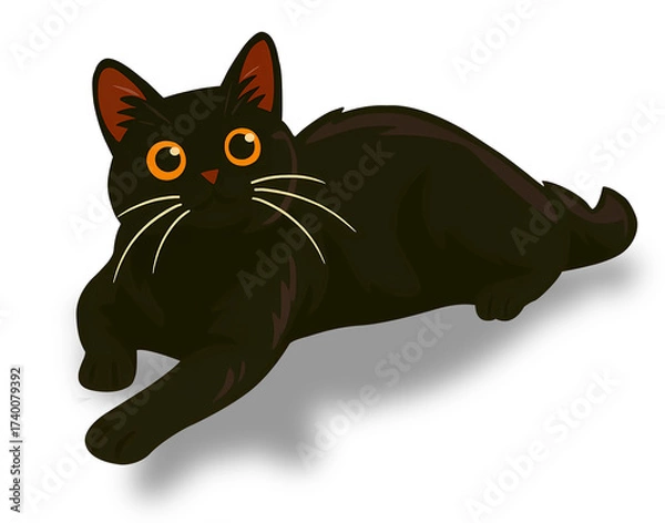 Obraz black cat isolated on white
