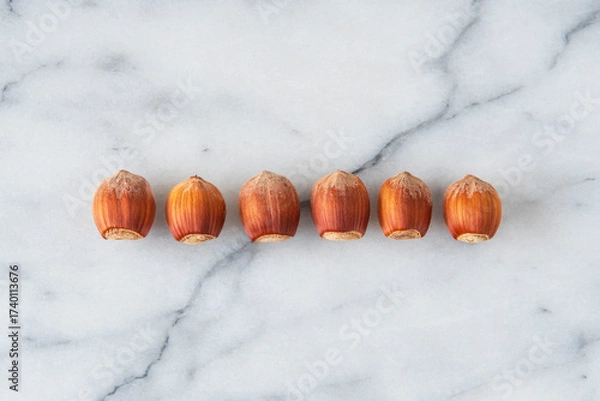 Fototapeta Close-up of hazelnuts with their shells lined up on white marble
