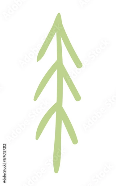 Fototapeta Fir, pine, spruce, conifer tree simple doodle isolated on transparent. Hand drawn flat vector illustration. Traditional holiday, Xmas, New Year, seasonal design element, clip art