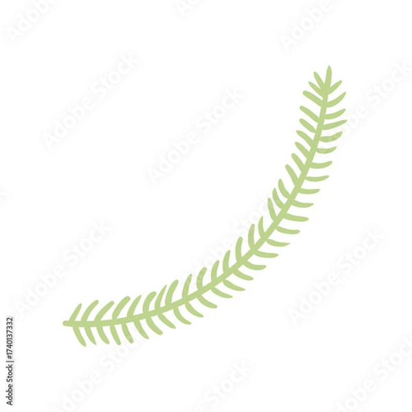 Fototapeta Single coniferous, spruce tree branch isolated on transparent. Hand drawn flat vector illustration. Traditional holiday, Xmas, New Year, seasonal design element, clip art