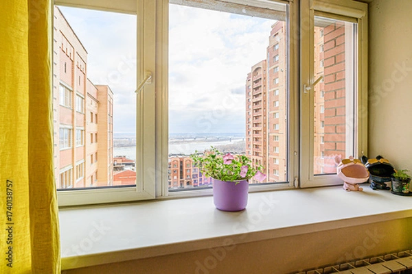 Fototapeta Window view overlooking cityscape with buildings, a river, and a bridge. A potted plant sits on the windowsill