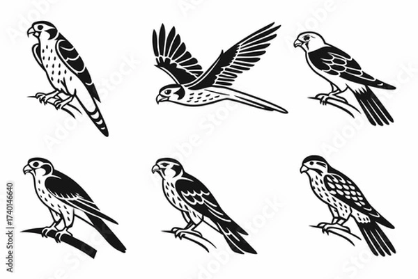 Obraz Eight minimalist kestrel icons in black yellow cyan and magenta