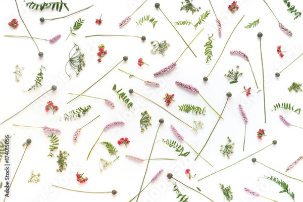 Fototapeta Flower pattern of wildflowers. Composition of flowers and plants. Top view. Floral abstract background. Flower concept. Bright multicolored flowers isolated on white background.