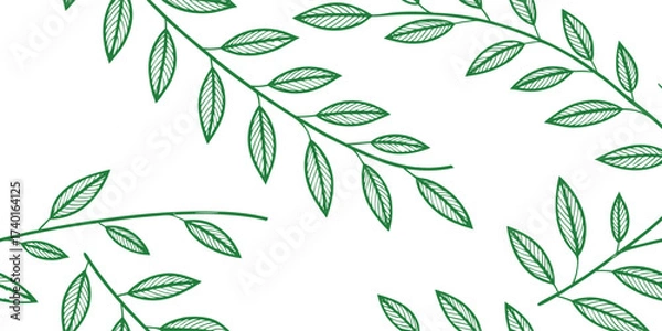 Fototapeta Green outline of branches with leaves on white background
