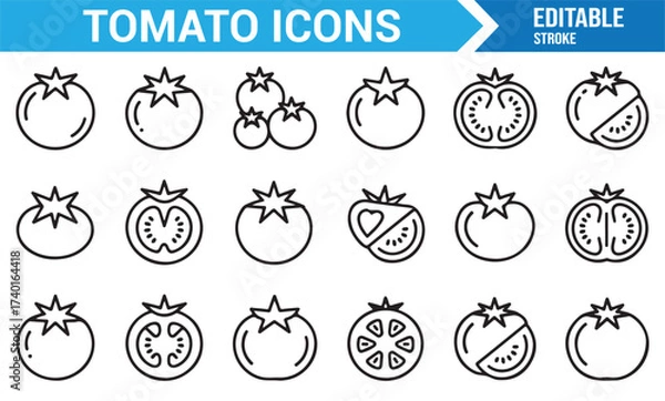 Fototapeta Linear vector tomato icons representing organic produce and garden freshness