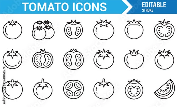 Fototapeta Fresh tomato linear vector illustration collection for food and health concepts