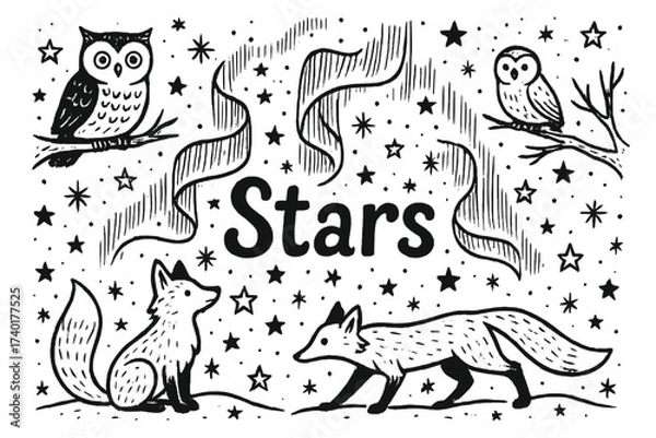 Fototapeta Aurora Night Creatures. Doodle snowy stars with aurora, owls, and foxes, center word “Stars” in black and white isolated