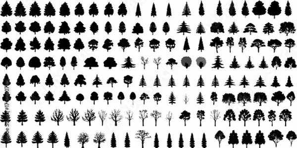 Fototapeta Collection of diverse tree silhouettes in various shapes and sizes on a white background